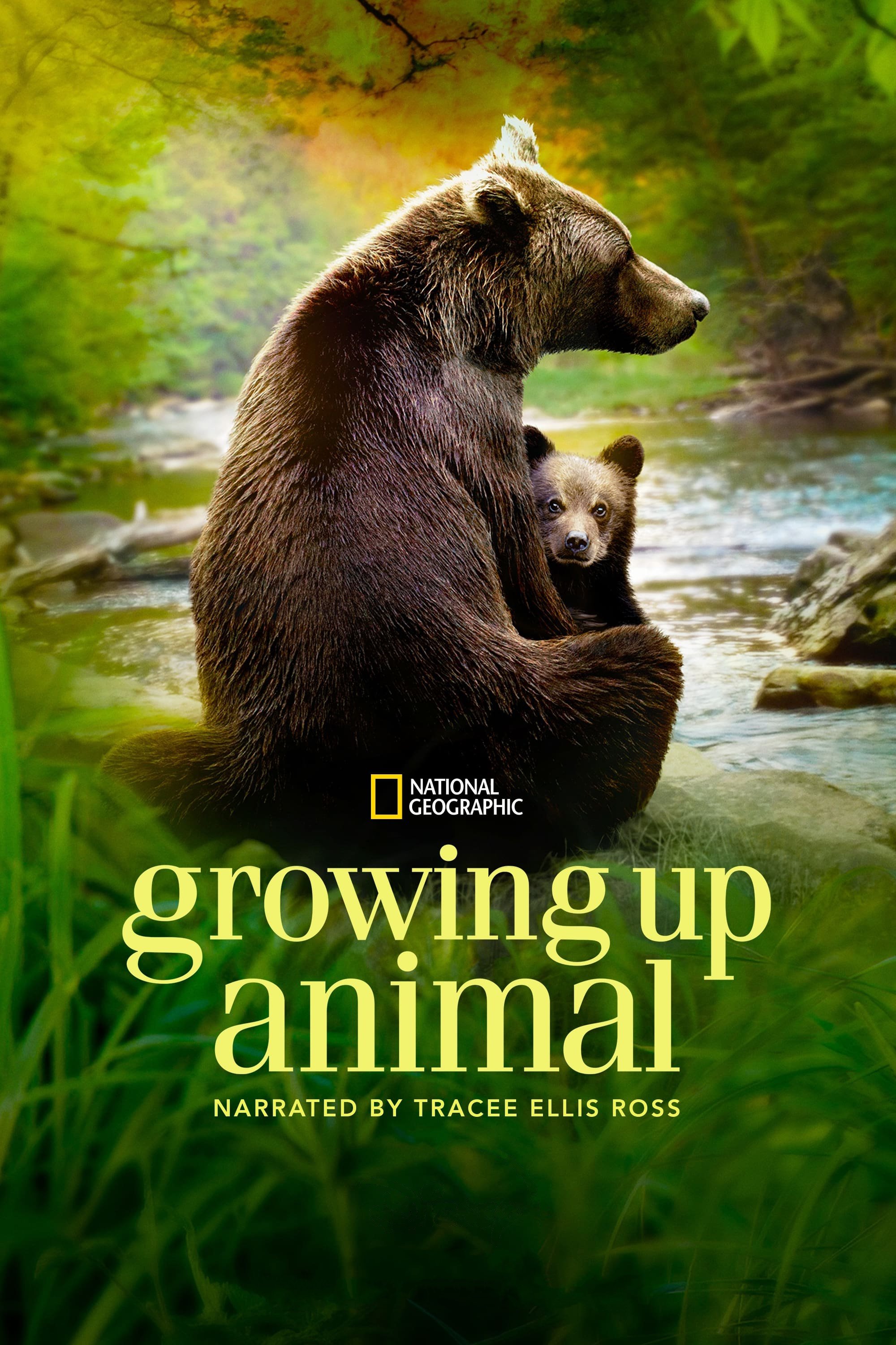 纪录片《动物成长》（2021）